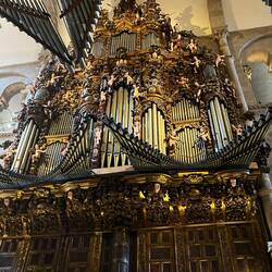 The organ