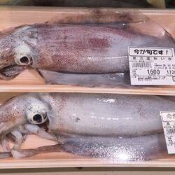 Im Supermarkt - können diese Augen lügen ?