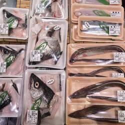 Wenigstens die Aale rechts schauen einen nicht so direkt an