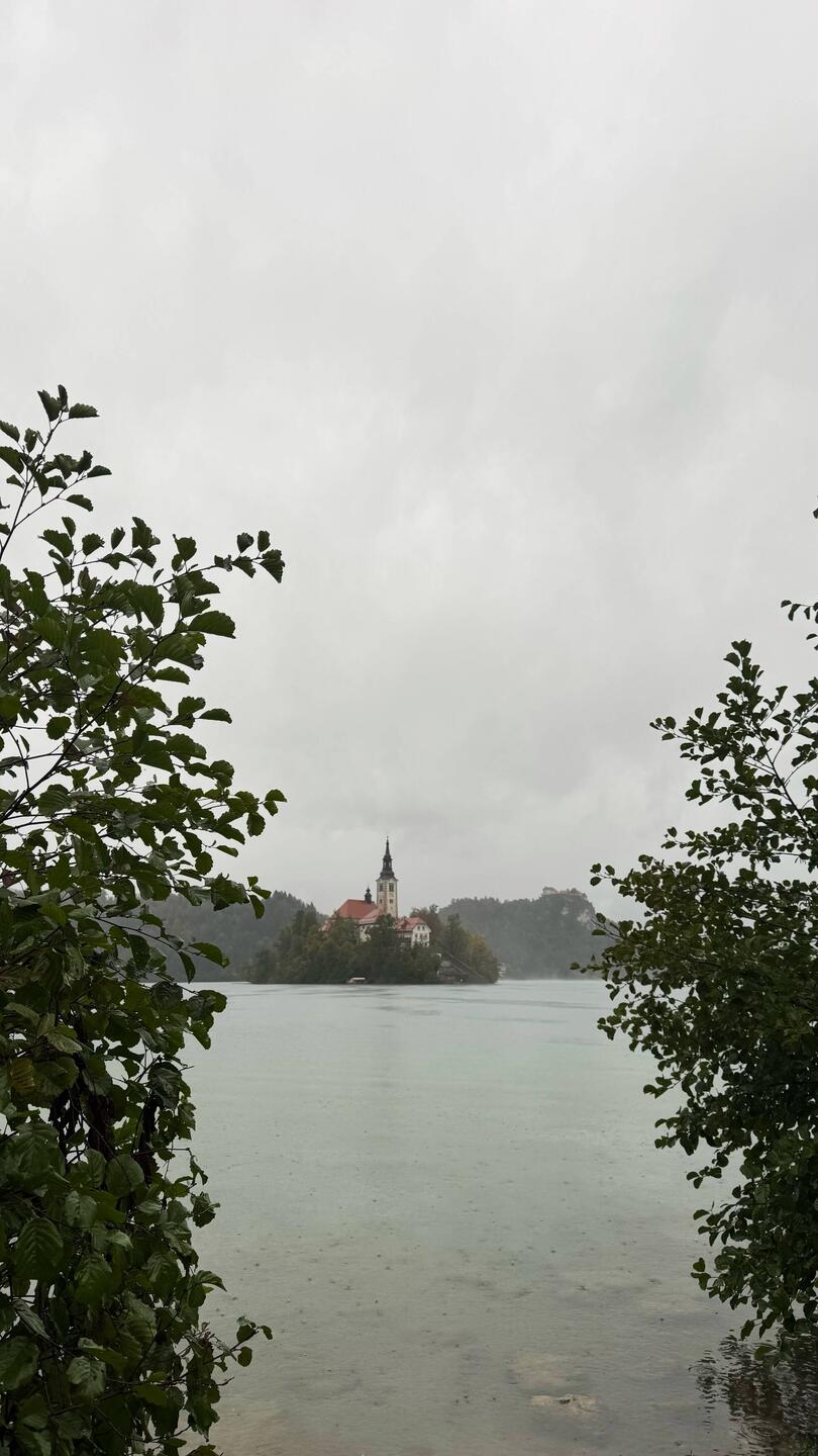 Bled