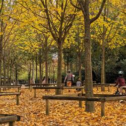 Sat here and had a coffee and my cheese and ham baguette.