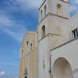 Das Bild aus Wikipedia ist besser... 😉