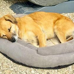 Ça fatigue l'exploration 😅🥰❤️