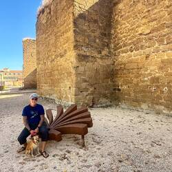 Les remparts