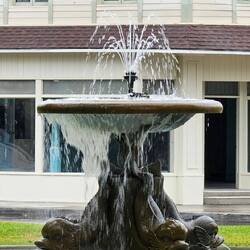Friends fountain