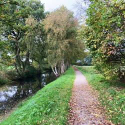 Een beetje "offroad" vandaag