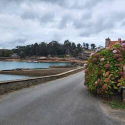 Überall gibt es Hortensien, so schön.