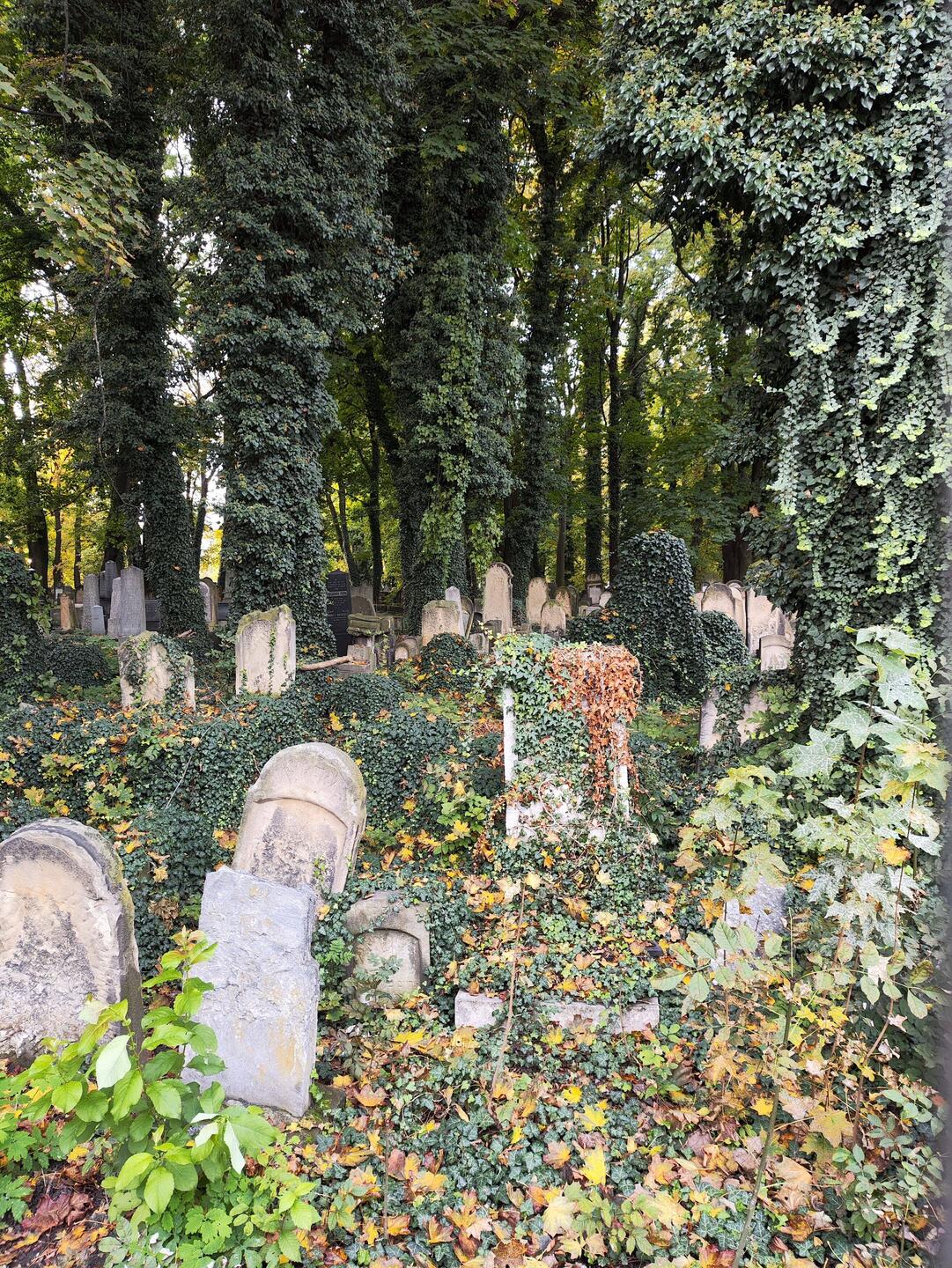 Die ersten Bilder sind noch durch den Zaun, denn der Eingang war erstmal nicht leicht zu finden.