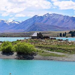 The Church of the Good Shepherd