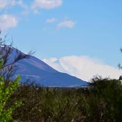 Distant view of Mt Cook, from Twizel. Only time we saw it