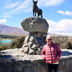 Tribute to the border collies and their role in the sheep industry