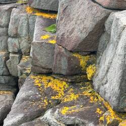 Lichens decorate the rocks