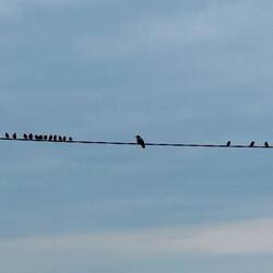 ...et c'est qui le boss?