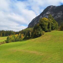 Green meadow in Unken