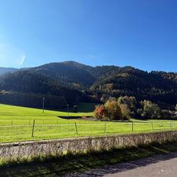 Im Schwarzwald angekommen🌳