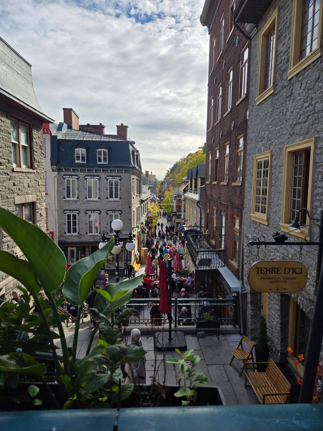 The view of Lower Town from our lunch table