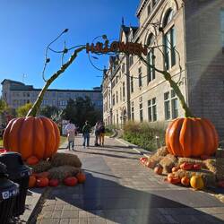Decorations in front of city hall