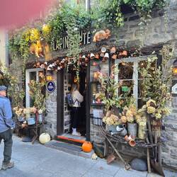 So many Halloween/Fall decorations