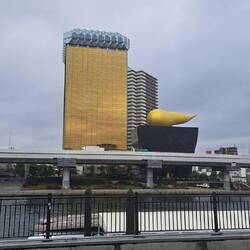 The golden turd