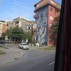 Mural