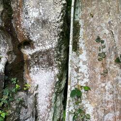 Tarnung: Link Fels, rechts Baum 😊