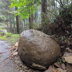 Sieht aus wie Moreaki Boulders in NZ