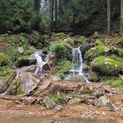 Überall strömt der gestrige Regen herunter