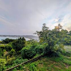 Blick von der Terrasse