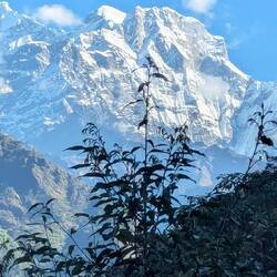 Die ersten hohen Gipfel