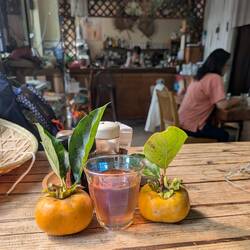 Persimmons