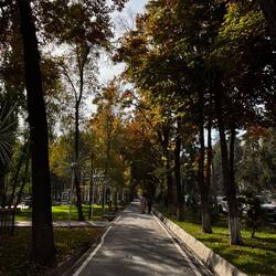 Walking in one of the many parks