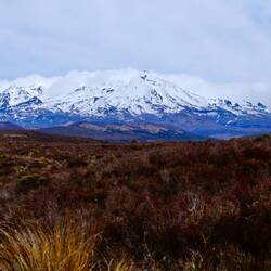 Ruapehu