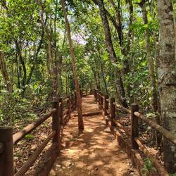 Der Trilha Capivara ohne Capybara :(