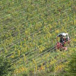 Unser Vermieter bei der Arbeit