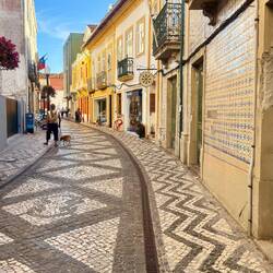 Le joli pavage des rues 😍 (et la faïence des façades 😅)