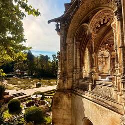 Vue du parc et de la salle de restaurant sur la droite 🤩