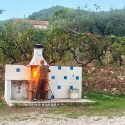 Le soir de l'arrivée Greg nous a fait camembert et patates au feu de bois ❤️