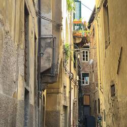 Lucca: a side alley