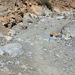 The last floods have brought down rocks we cannot circumvent, no getting through