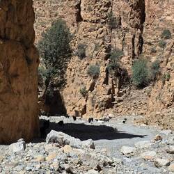 So its reverse for several hundred meters and then drive out again