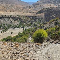 The track drops into the canyon, this is where it gets serious