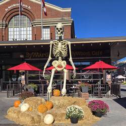 Ottawa has a few Halloween decorations too