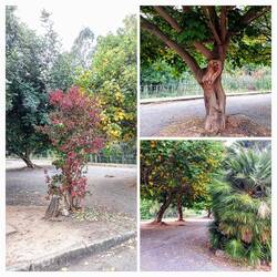 De herfst is in aantocht