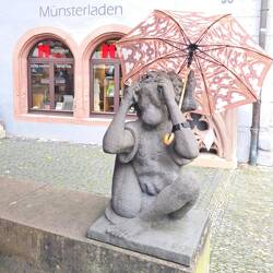 wenn es dann mal regnet