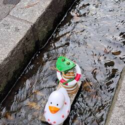 Bächle in der Stadt