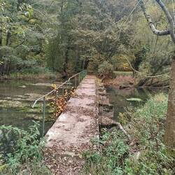 Die Brücke hat geschwankt und geknarrt.