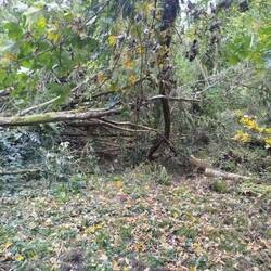 Hier war eigentlich der Weg nach Toul.