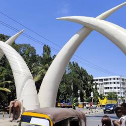 Das Wahrzeichen der Stadt