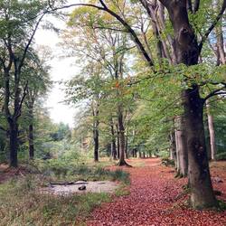 In de buurt van Olterterp
