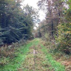 Dat wordt natte sokken